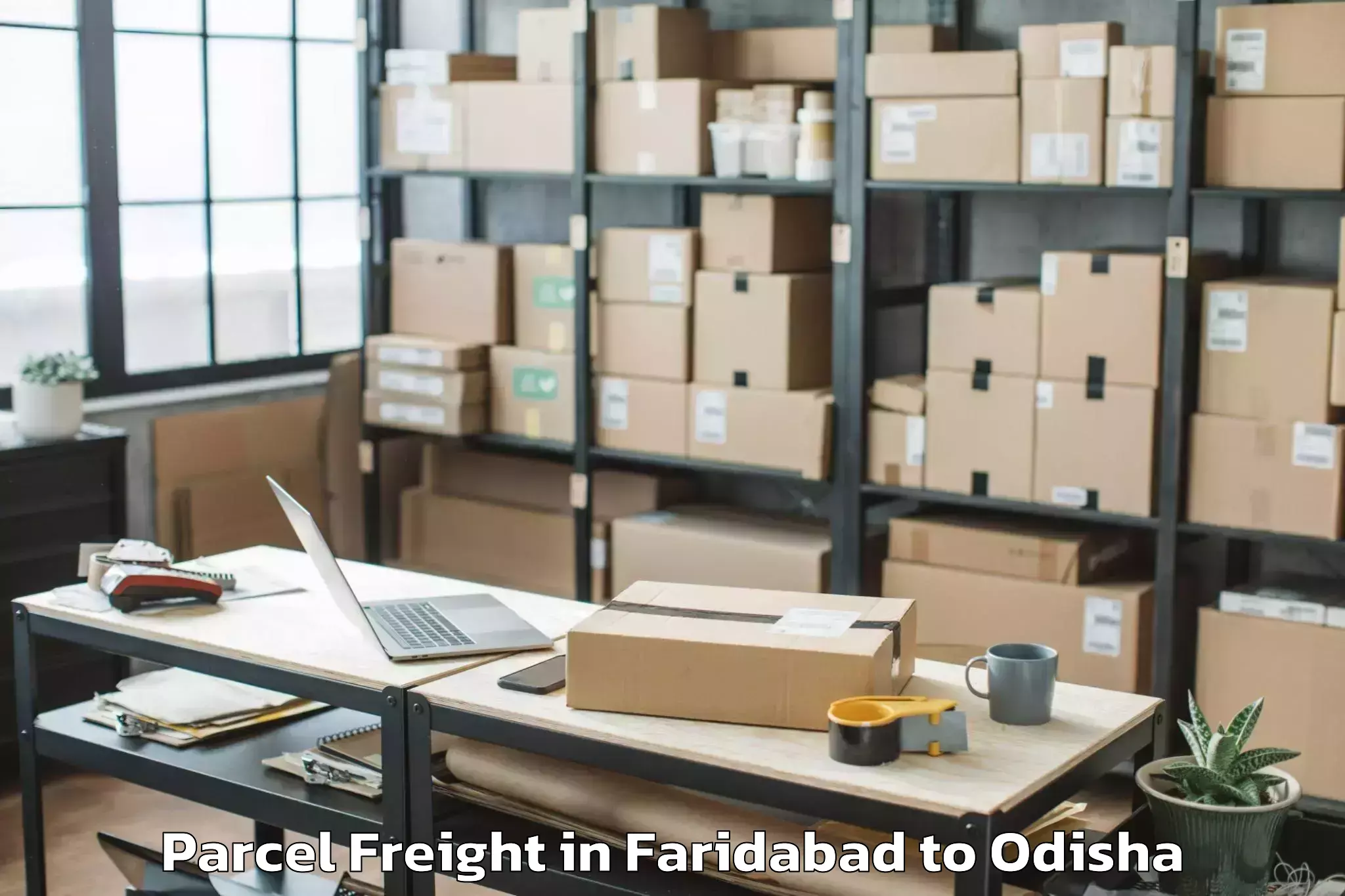 Leading Faridabad to Umarkote Parcel Freight Provider